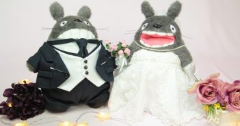 No.3730トトロのウェルカムドール トトロのウェルカムドール正面