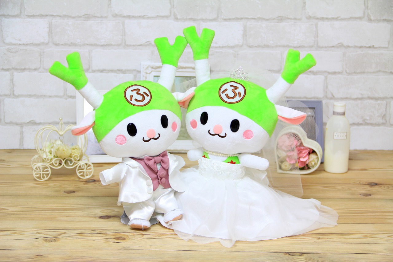 結婚式　ウェルカムドール用衣装 3763-1.jpg