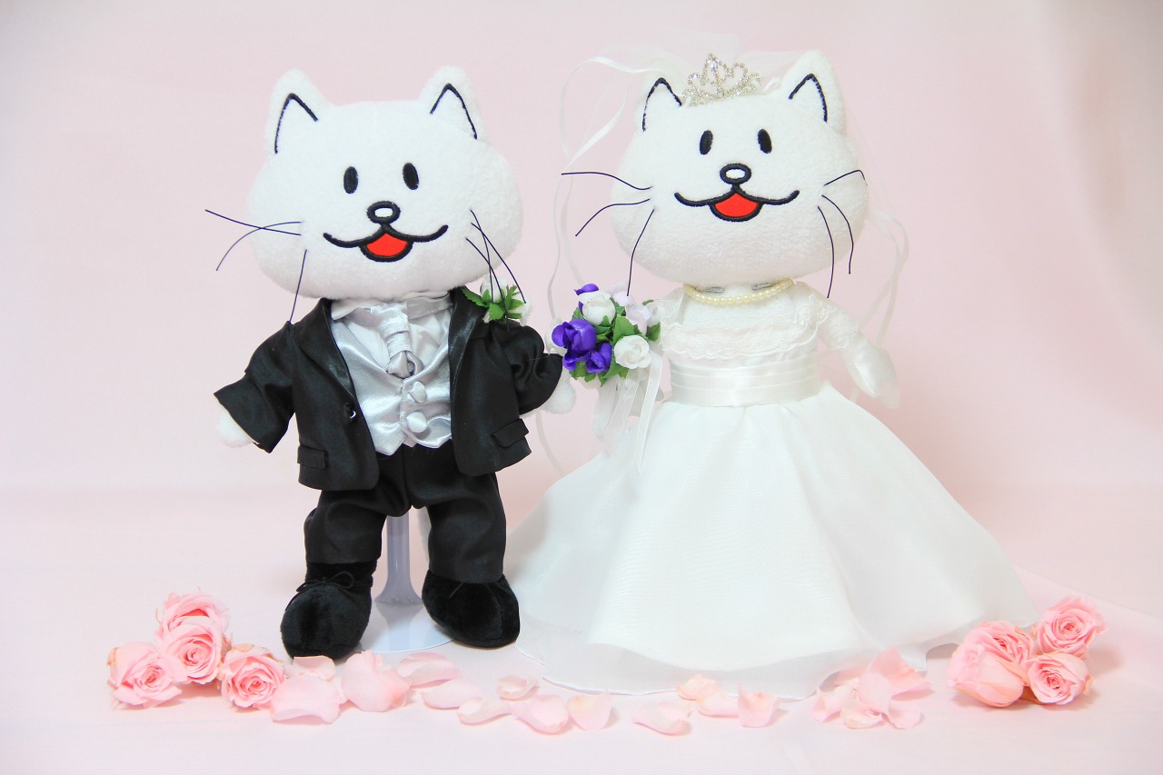 No.3767ニコルのウェルカムドール | スモールハピネスの小さな