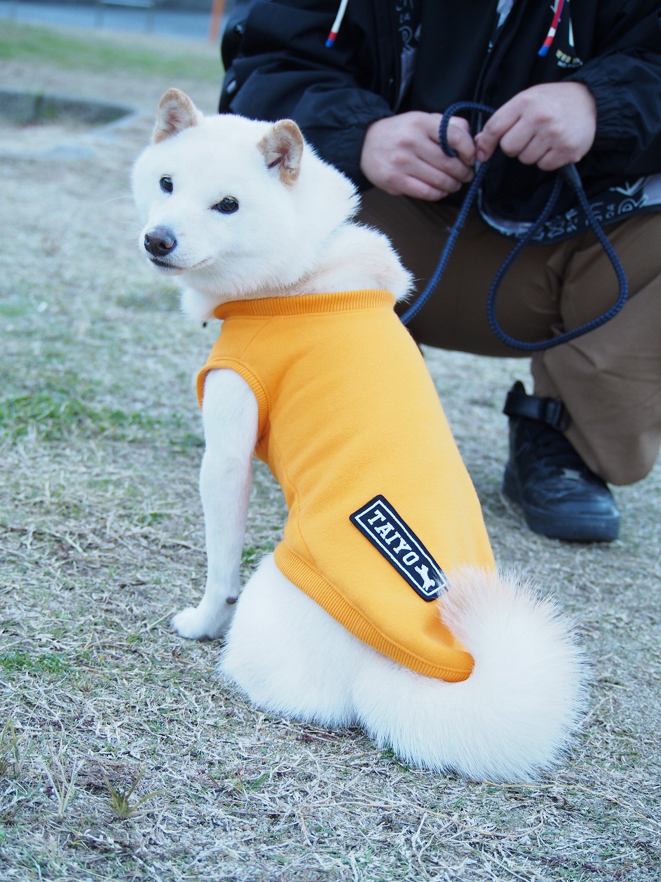 竹内ゆかり様専用 ハンドメイド犬服 ワンピース 犬服ハンドメイド 竹内