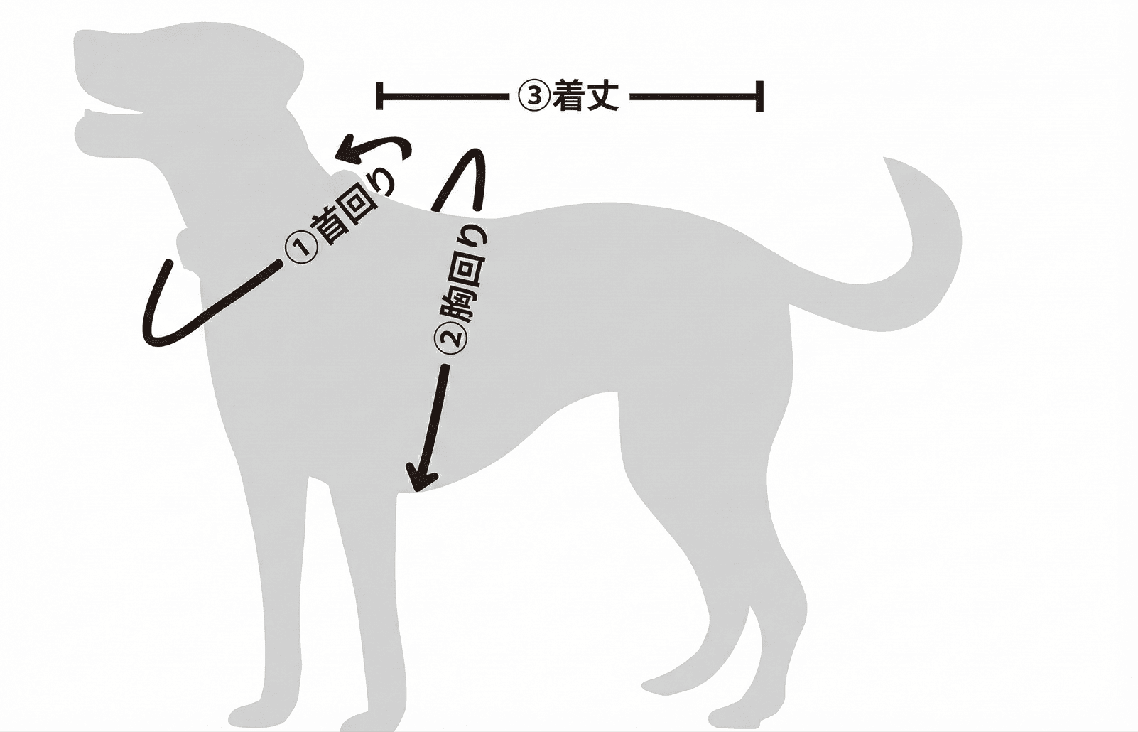 サイズの測り方